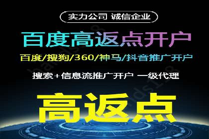 不同平台下的关键词竞价排名策略比较与案例分析